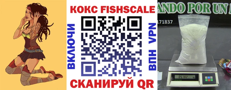 где купить наркоту  Тюкалинск  Cocaine Fish Scale 