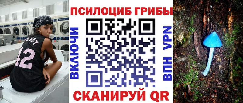 Псилоцибиновые грибы GOLDEN TEACHER Тюкалинск